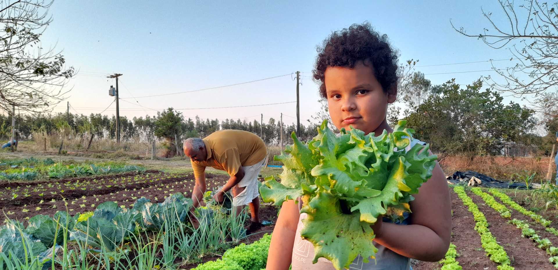 Do campo ao prato: a participação da agricultura familiar na alimentação  escolar | ÓAÊ