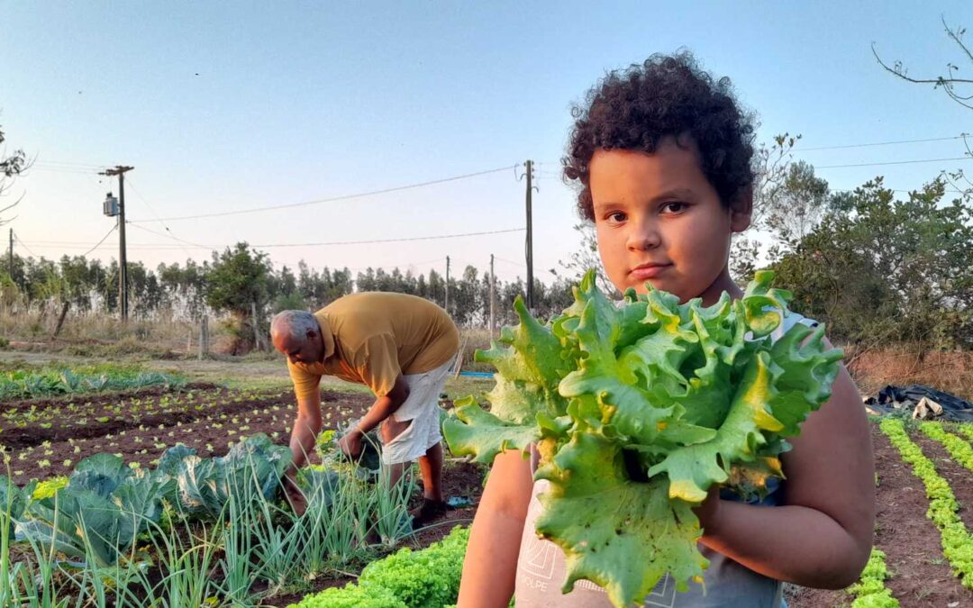Do campo ao prato: a participação da agricultura familiar na alimentação escolar