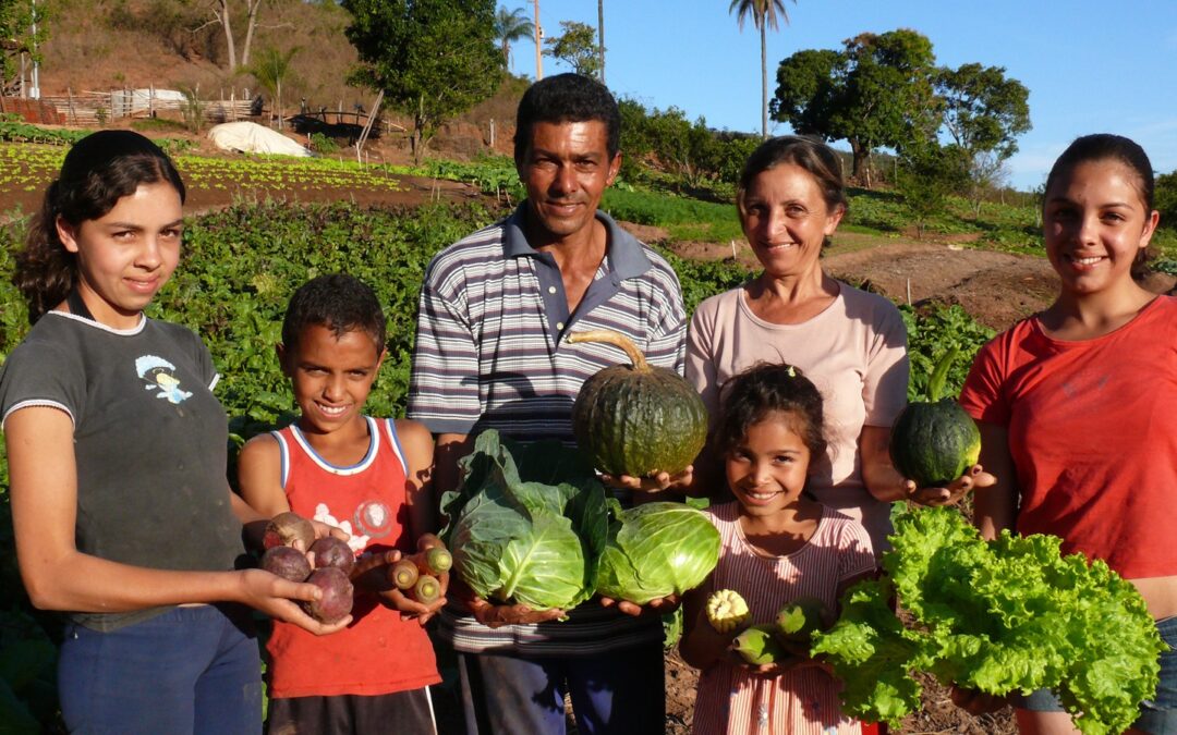 ÓAÊ lança Campanha para saber se a alimentação escolar garante produtos da agricultura familiar