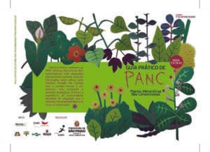 Guia prático de plantas alimenticias não convencionais para escolas