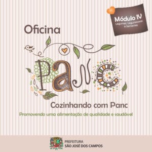 Oficina PANC iniciação culinária: módulo IV – legumes, leguminosas e sementes