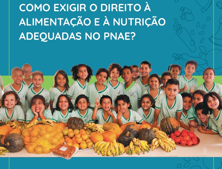 Como exigir o Direito à Alimentação e à Nutrição Adequadas no Pnae?