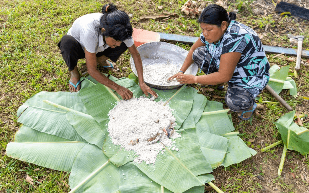 Povos tradicionais levam saúde, diversidade e clima para a alimentação escolar
